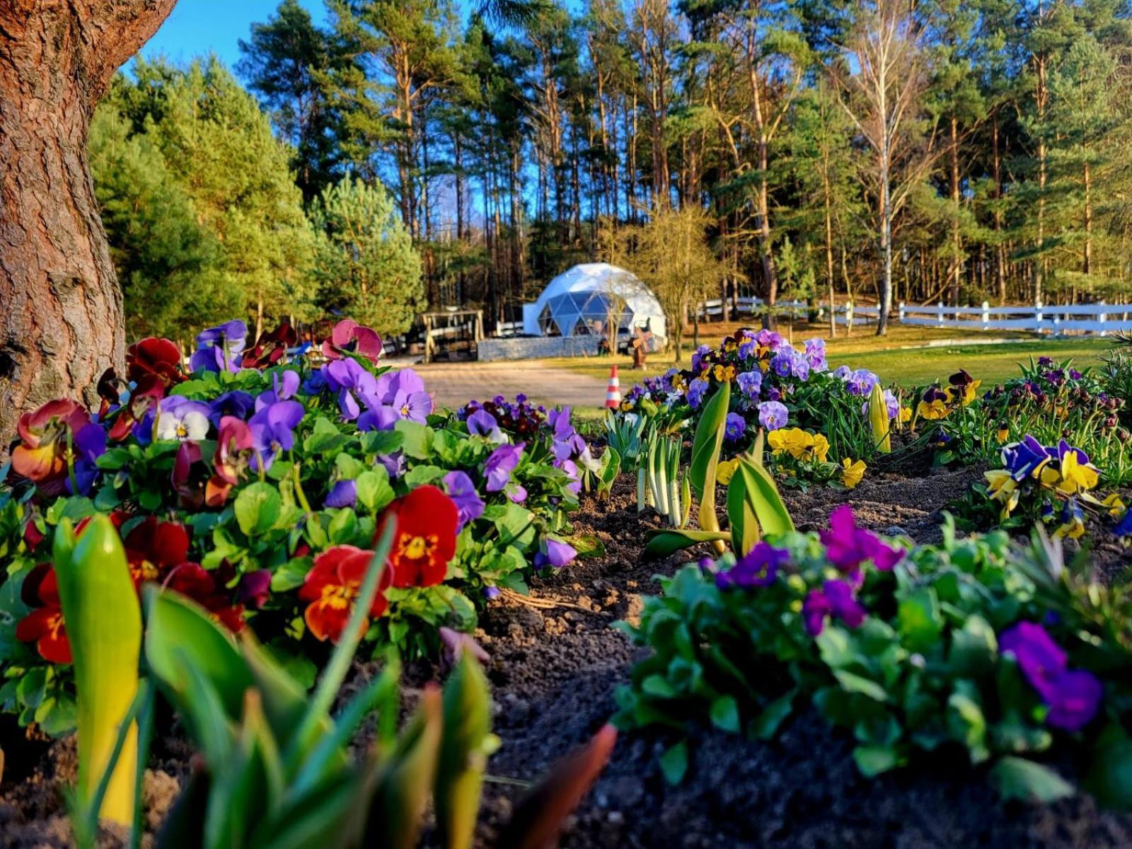 Glamping Pod Orlem 호텔 Cedynia 외부 사진