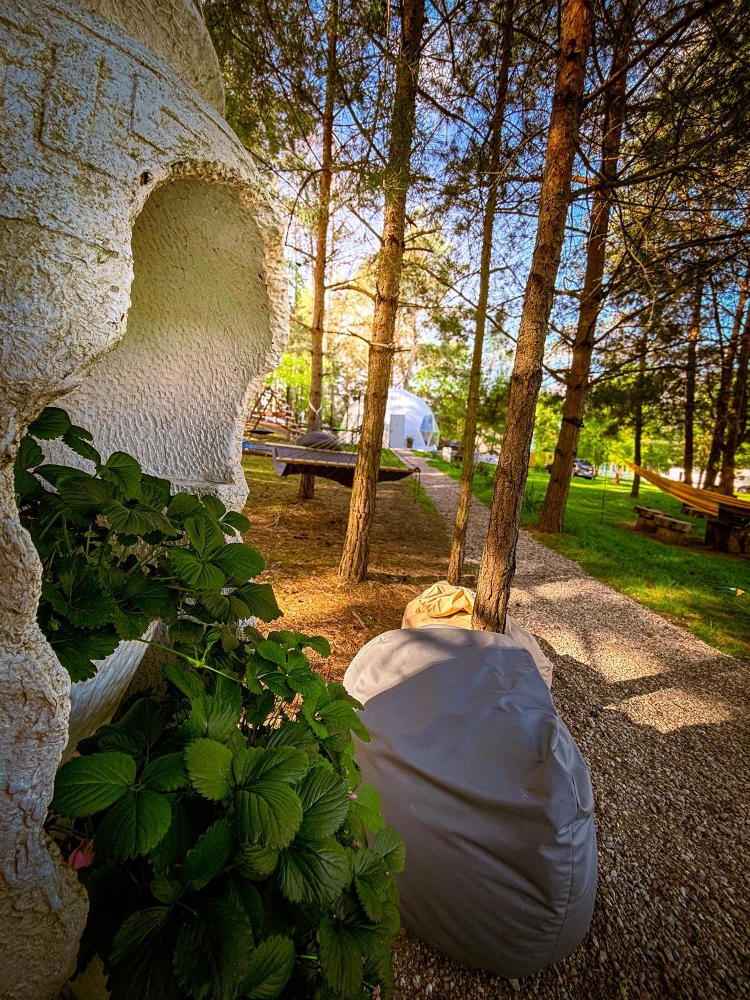 Glamping Pod Orlem 호텔 Cedynia 외부 사진