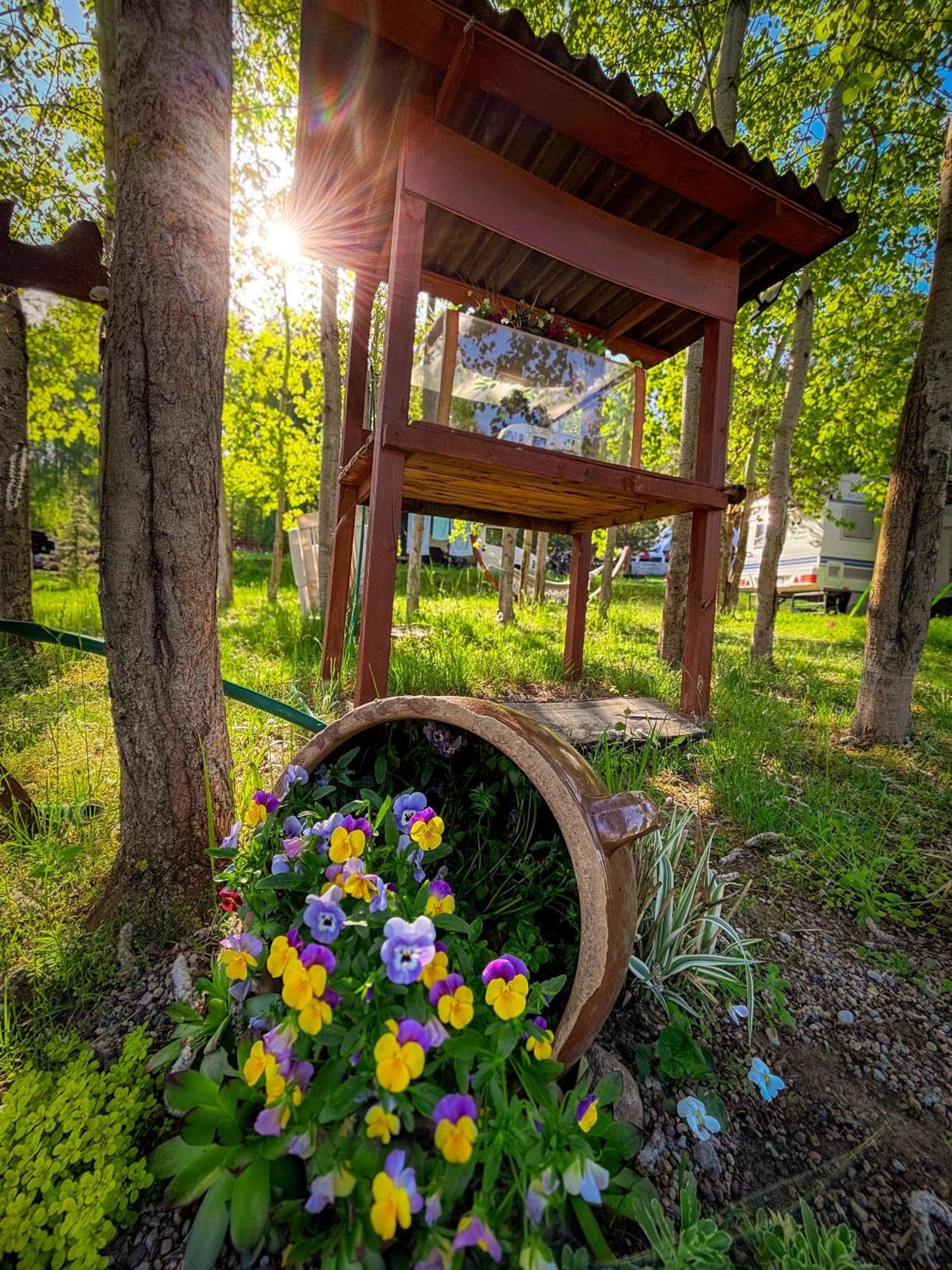 Glamping Pod Orlem 호텔 Cedynia 외부 사진