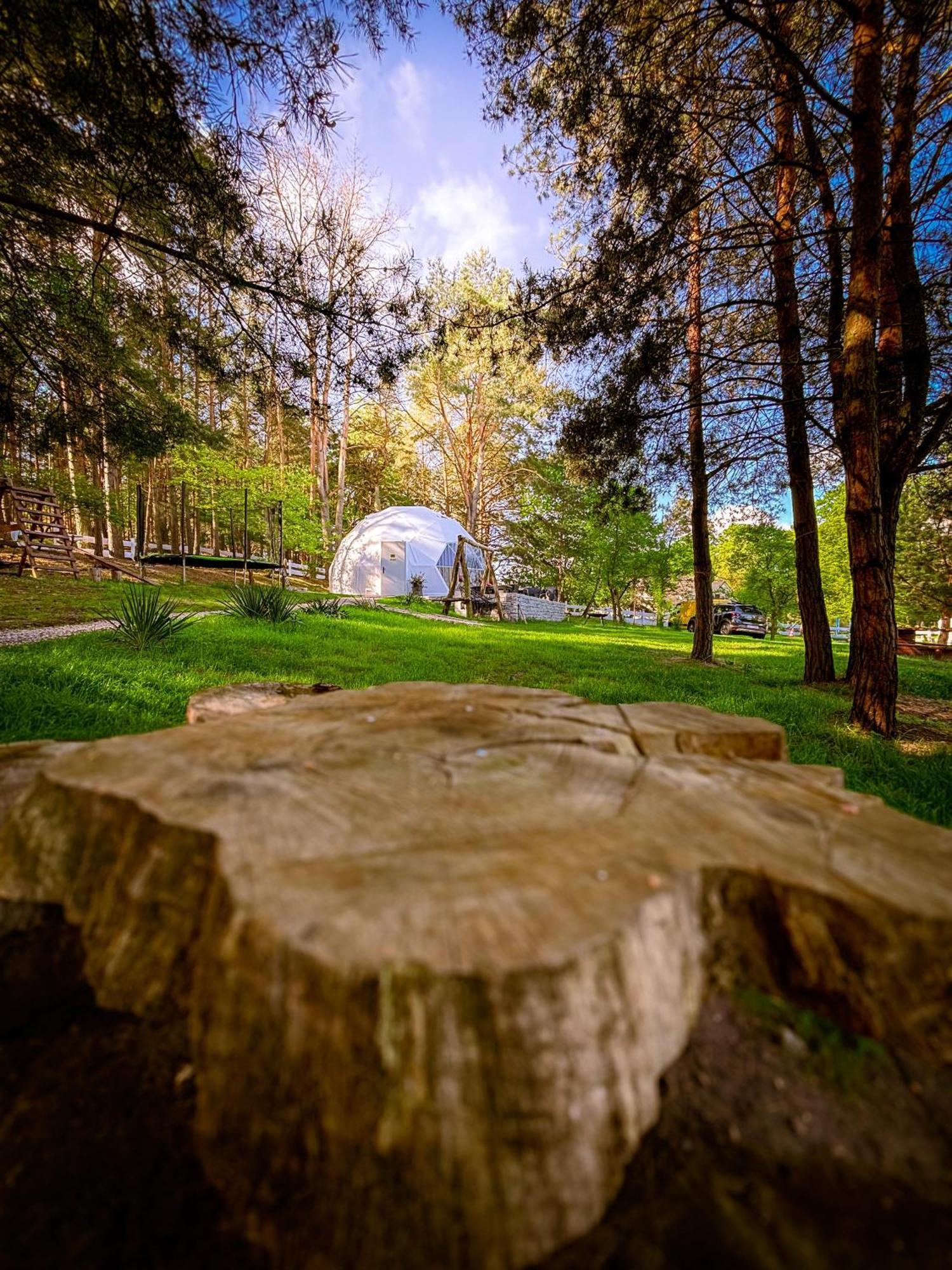 Glamping Pod Orlem 호텔 Cedynia 외부 사진